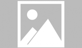 黑豆红枣芝麻豆浆,黑豆红枣芝麻豆浆，营养满分早餐新选择